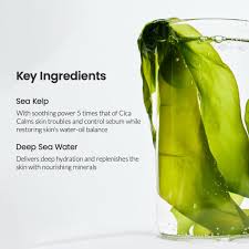 Biodance Refreshing Sea Kelp Real Deep Sheet Mask – Hydrating & Soothing Korean Skincare Mask